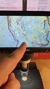 ➡️ DM9 COIN MICROSCOPE (LINK IN BIO 🔗) #coins #coincollecting #valuablecoins #coinsworthmoney | Diggin Dave