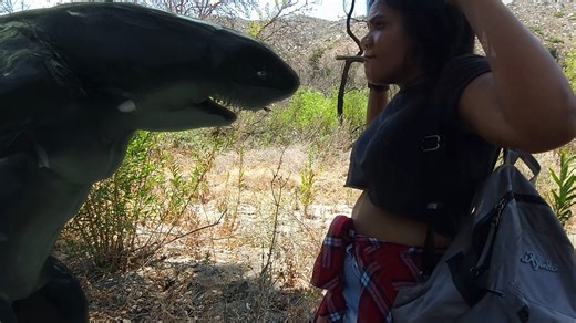 173K views · 1.7K reactions | A space station's experiment goes horribly wrong, sending a breed of weaponized sharks to earth. And they don't need water to kill. Check out the trailer for Space Sharks: | IGN | Facebook