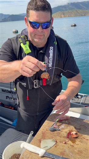 They say match the hatch if you want success catching fish. When I’m out fishing, I’ll use just about anything for bait that’s usable — whether it comes from stomach contents or something a fish coughs up once it’s onboard, it’s fair game! Fishing the Marlborough Sounds alongside a mussel farm, we found plenty of bright red crabs in the stomachs of gurnard. We used them for bait and turned them into some nice fish. I reckon these bright red crabs are a big reason the gurnard in the Marlborough S
