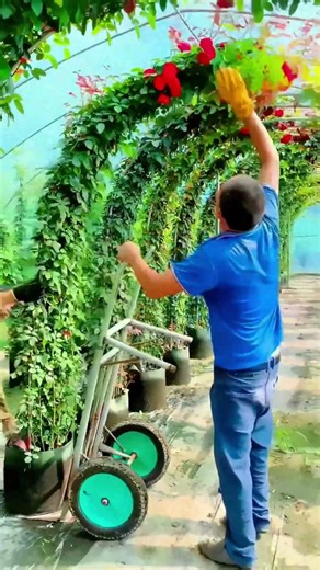 Two People Collaborate to Create a Plant Arch