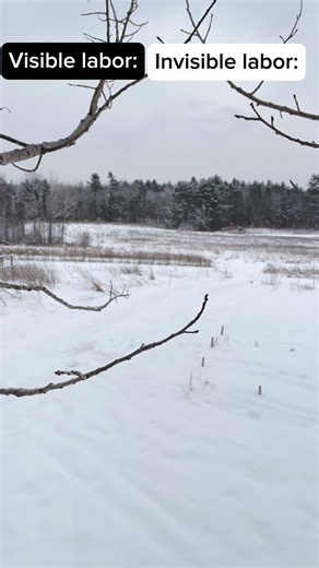 What did i miss here #invisiblelabor | invisible guy