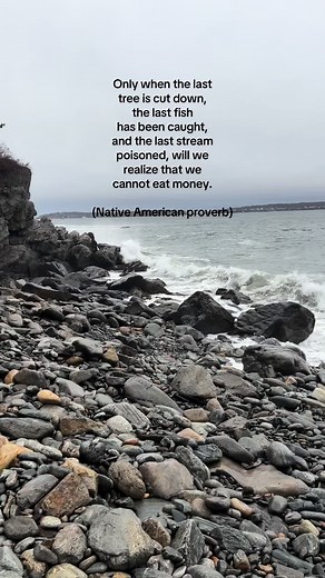 Conservation and Climate Action: Protecting Our Oceans