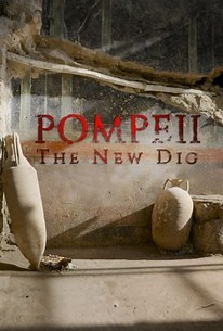Pompeii: The New Dig: Season 2 | Rotten Tomatoes