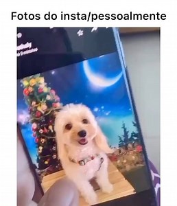 😂😂😂😂😂 Siga -> Criatives | Criatives