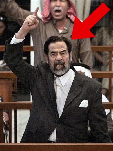 Info Of History (@info_of_history)’s videos with original sound - Info Of History