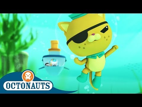 Octonauts - Kwazii the Brave Cat | Cartoons for Kids | Underwater Sea Education