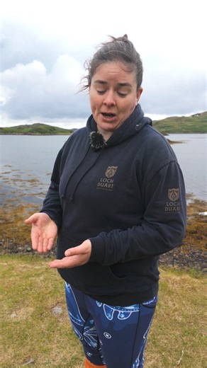 2K views · 16 reactions | We monitor the environment our salmon are in every single day. Here’s the things we do to minimise the impact oxygen depletion has on our salmon.  #scottish #lochduartsalmon #marineenvironment | Loch Duart Salmon | Facebook