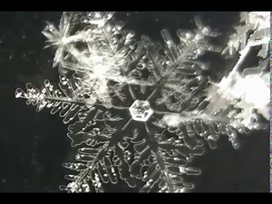 How to Take Amazing Snowflake Photos on Your Phone's Camera