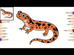 Como dibujar una SALAMANDRA de forma fácil / How to draw a SALAMANDER easy way