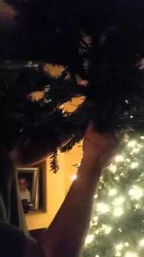 Trouble With Holiday Time 9 ft Pre Lit Christmas T