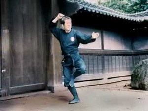 Ninjutsu Grand Master Masaaki Hatsumi in Action Pt. 12