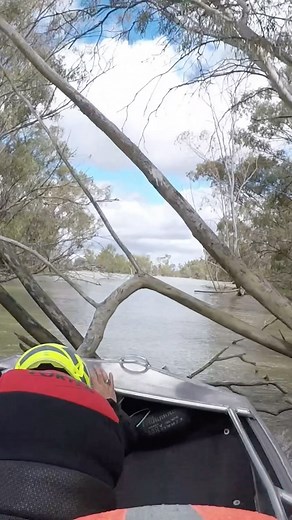 Barely Standard Racing on Instagram: "The boys collecting some firewood mid race 🪵 #tinny #tinnyracing #dinghyderby #riverland #dinghy #racing #yamaha #gopro #redbull"