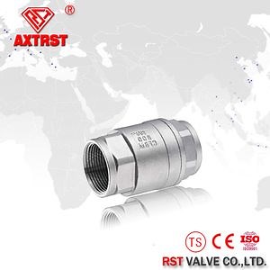 [Hot Item] 316 200 Psi Vertical Thread Spring Check Valve in Stainless Steel