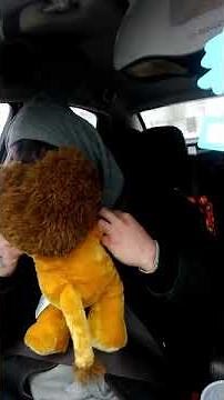 Build a bear with his mom's voice