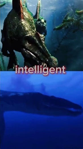 spinosaurus vs liopleurodon