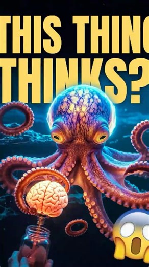 “This Animal Has an Alien Mind 🤯🐙” #animalfacts