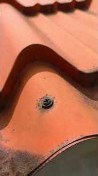Roof Sheet Fixing Screws #SUS304 Non-corrosive