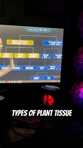 Types of plant tissues | class 9 science tissues