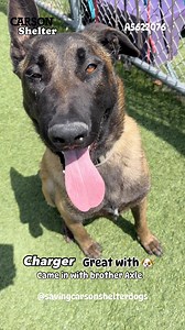 20K views · 1.2K reactions | Adopted A5622076 ✰ CHARGER -5/26/24-...