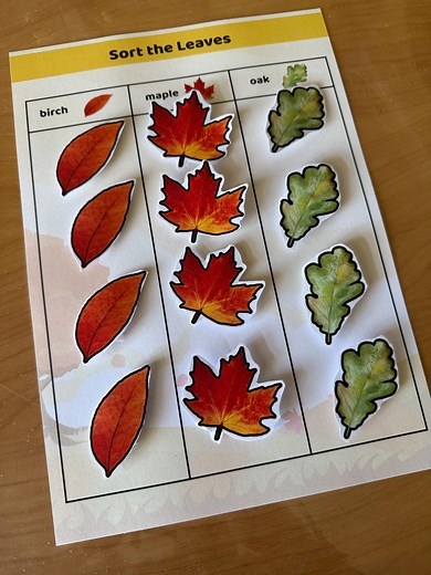 Leaf Shape Preschool Sorting Activity: Montessori Fall Printable (PDF Download - Etsy