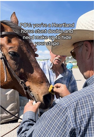 Horses as Stunt Doubles in Heartland Revealed