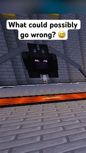 Admin spawns in a dragon riding a chicken #minecraft