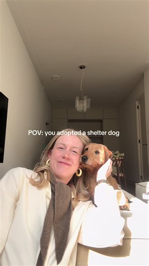 The Sweetest Shelter Dog Adoption Story 🤍