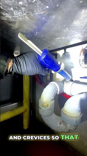 🎯 Pro Tip: The Cockroach Gel Secret! 🤫