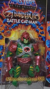 #ThundercatsEc #thundercats #motu #liono #mummra #skellra #skeletor #cheetara | ACollectorex