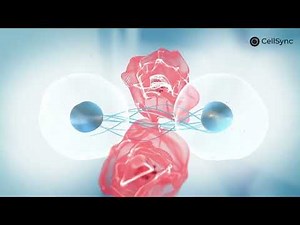 Bioresonance Therapy Explained: How Electromagnetic Frequencies Support Healing