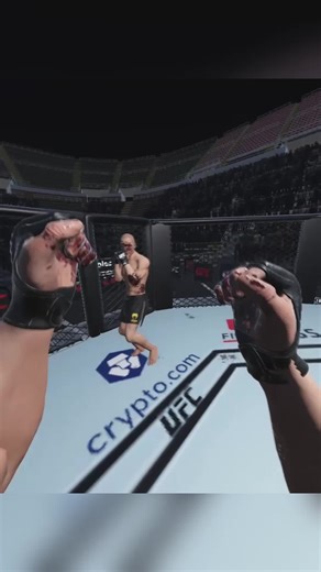#vr #fight #ufc | ufc on vr