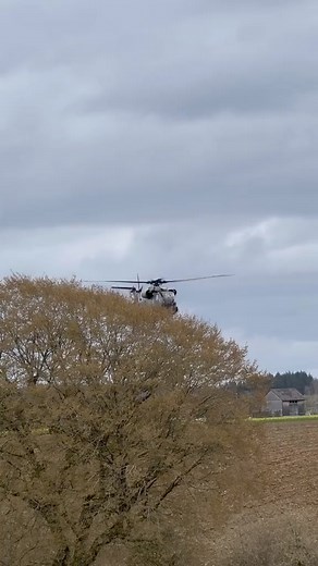 The beast CH-53 in action😎 . . #Follow me @military_shot for more military content 😉 #repost is welcome when tagging me🙏 . . . #apple #military #hubschrauber #airforce #bundeswehr #engineering #germanairforce #bordsicherungssoldat #heliopsmag #helikopterlovers #heliporn #helicopter #helikopter #ch53 #reelsinstagram #bestoftheday #videooftheyear #viral #militaryaviation #avgeek #aviation #vertigalmag #verticalvalor #ifindyourlackofdownwashdisturbing #ch53ga #charlyhorse #mighty #flyby | Milita