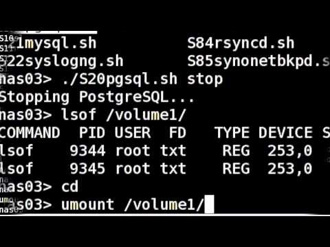 Synology Nas Server Check Disk [ e2fsck Command ]