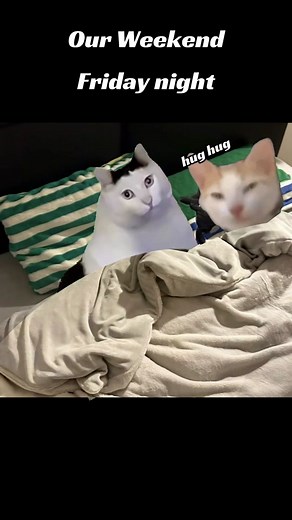 Weekend Cat Meme - Bananacat and Relationship Jokes