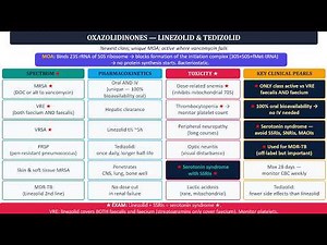 OXAZOLIDINONES — LINEZOLID & TEDIZOLID. Chapter 44 Part 6. Katzung Pharmacology.