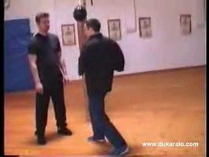 O soco mais rapido do mundo