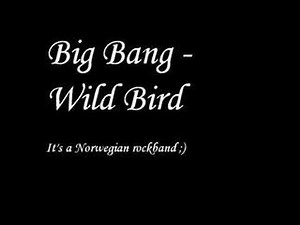 Big Bang - Wild Bird