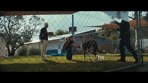 From cleaning kennels, mopping floors, completing lifesaving surgery, working with animals who are terrified of everything and everyone and seeing animals in devastating conditions, RSPCA WA isn’t here for the easy kind of love. The people at RSPCA WA are here for the other kind. The harder kind. The kind that doesn’t always look like love but absolutely is. We are excited to share with our loyal Facebook family a first look at our new ad, This is Love. The ad has been designed to show that love