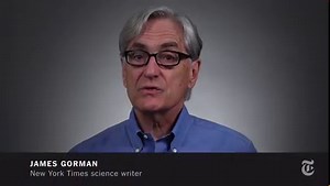 ScienceTake | Hatching Treefrogs