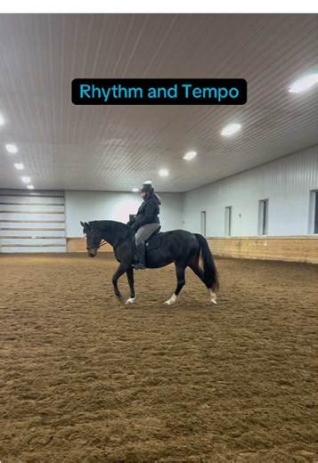 The dressage training pyramid: rhythm and tempo #horsetrainer #dressage #horsetraining #trainingpyramid