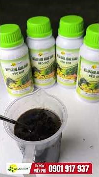 HOW TO MAKE DURIO SHOOTS GROW FAST AND UNIFORMLY 159K PER BOTTLE MIXES WITH 500 LITERS