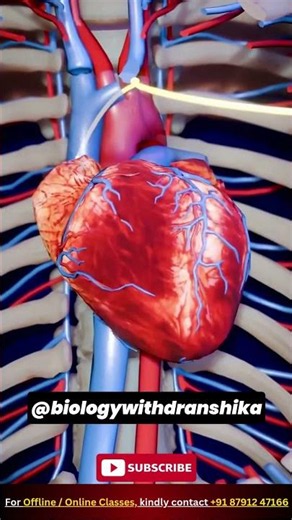 How a Pacemaker is Implanted: Step-by-Step Guide.🫀#pacemaker #hearthealth #cardiology #arrhythmia