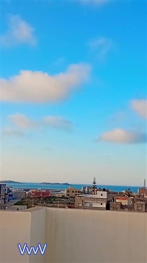 kanal VvvV #edms #cat #streetfood #funny #kitten #animals #automobile #cute #travel #love