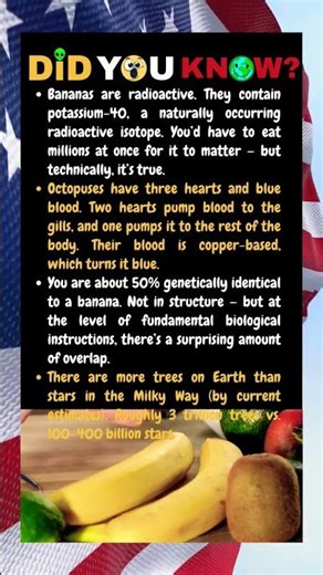 Bananas are radioactive. They contain potassium-40, a naturally occurring radioactive isotope.