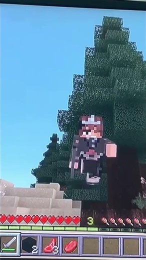 Alice for fpe in Minecraft