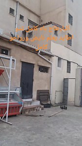 779K views · 17K reactions | ما تنساش تابوني معانا (y) باش ديما يلحقك...