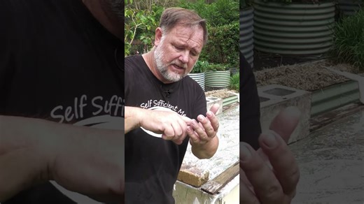 Eliminating nut grass weed organically from a raised garden bed