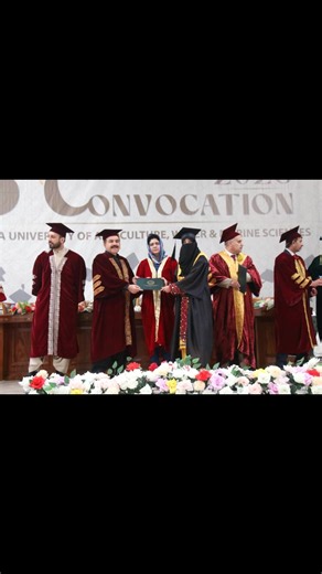 Graduation Day Highlights: Celebrating Achievement Together