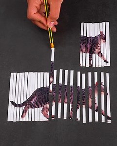 Clever Paper Craft Tricks and Illusions | Genius Inventions