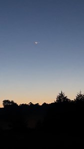 Happy #friyay y’all! Hope the little things make you smile like they do me! ⭐️ 🌙 🥰 After I took this video, I missed my coffee cup opening and coffee spilled all down my clothes, then my phone fell down between the seat and console 😑 … but I’m still smiling cause 😃 #tgif | Rene Earnhardt